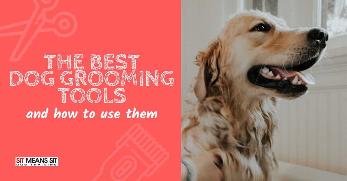 Best Grooming Tools